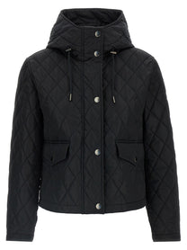 Burberry Pembroke Jacket Black