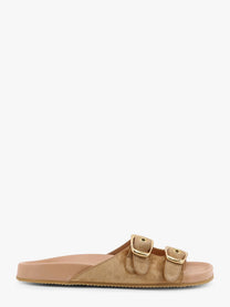 Chloe&#39; Polly Suede Sandals With Gold Metal Buckles
