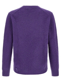 Polo Ralph Lauren Ralph Sweater Purple