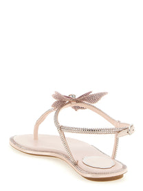 RENÉ CAOVILLA - RENÉ CAOVILLA - ’Fairy’ sandals - Women’s Shoes