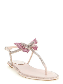 RENÉ CAOVILLA - RENÉ CAOVILLA - ’Fairy’ sandals - Women’s Shoes