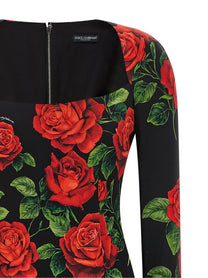 Dolce &amp; Gabbana Rose Longuette Dress Gold