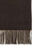 Agnona Scarf Brown, view 2