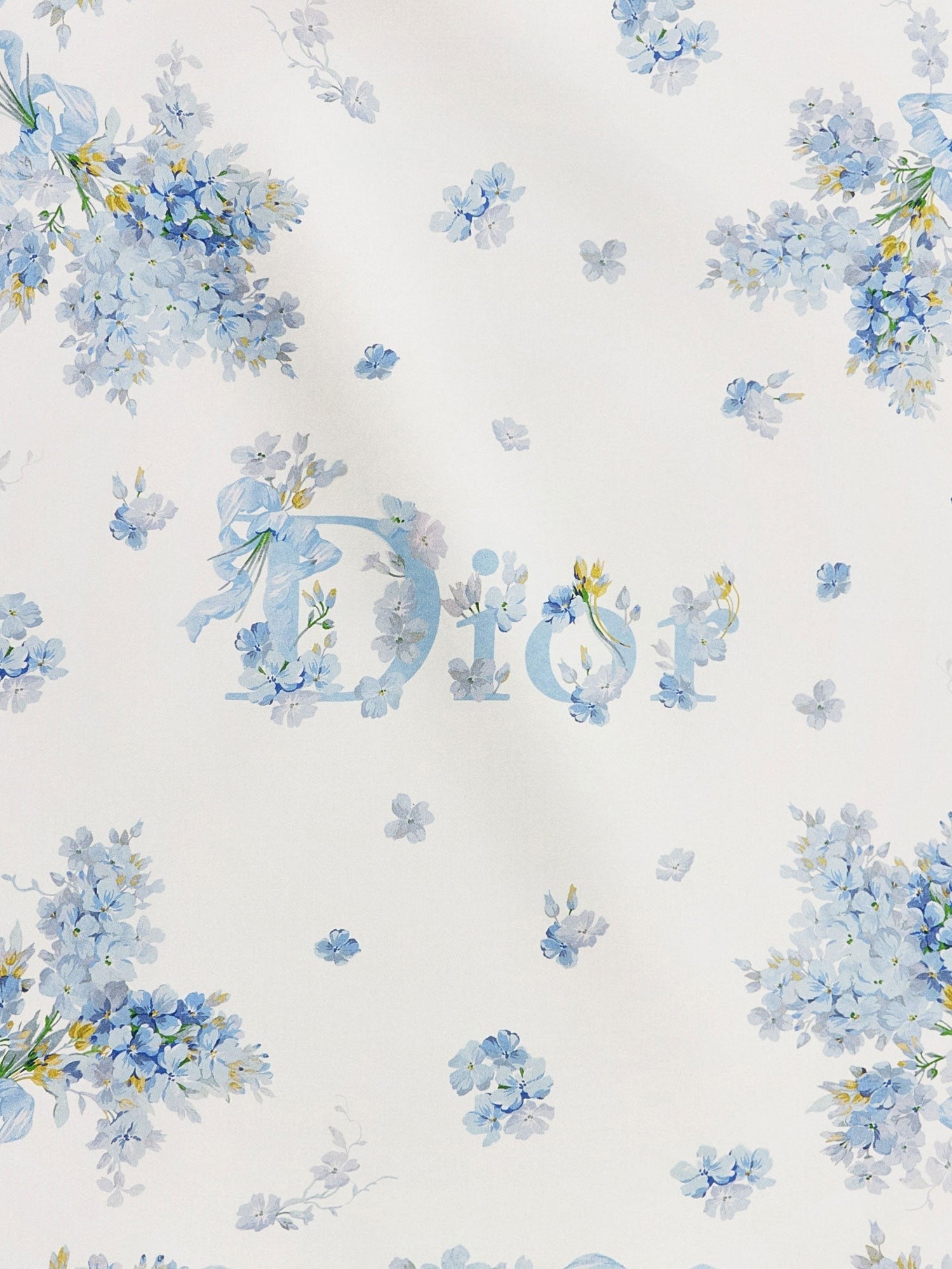 Dior Women's Silk Foulard Blue