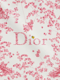 Dior Women's Silk Scarf Pink