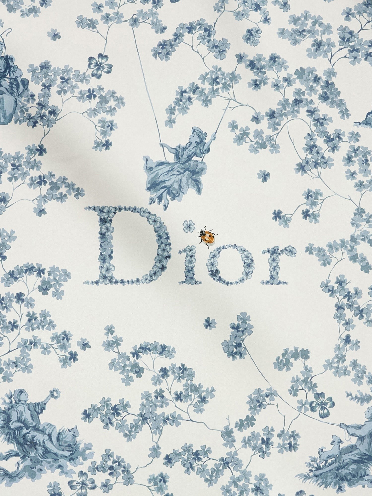 Dior Women's Silk Scarf Blue