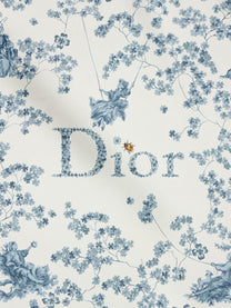 Dior Women's Silk Scarf Blue