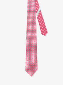 Ferragamo Men's Silk Tie Vinaccia
