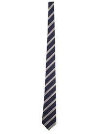 Giorgio Armani Men's Silk Tie Blue