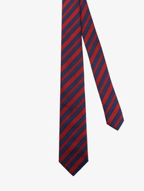 Dior Men's Silk Tie Blue