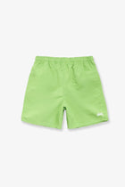 Stussy Men's Nylon Swim Trunks Kiwi