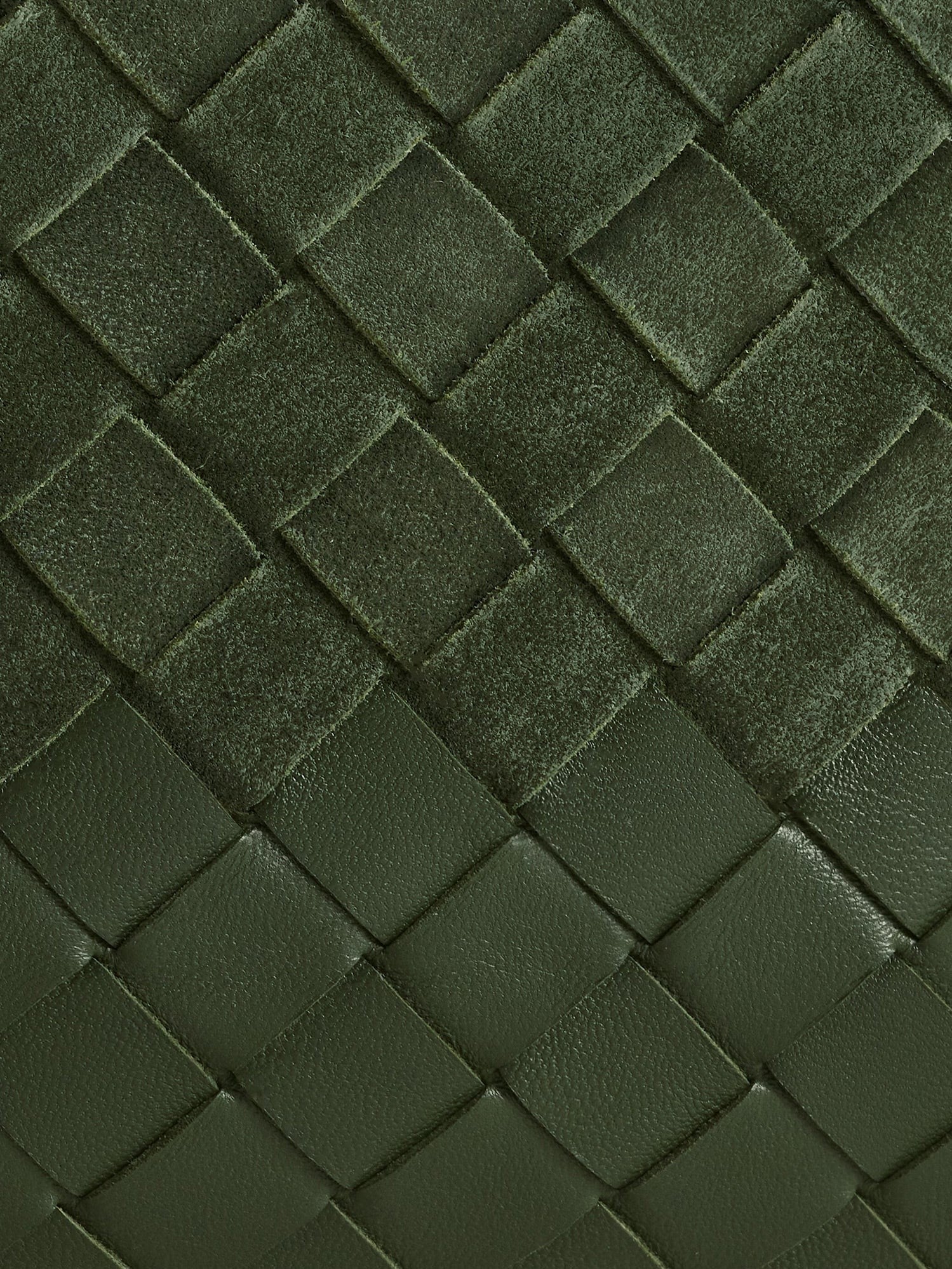 Bottega Veneta Women's Suede Dustbag Green