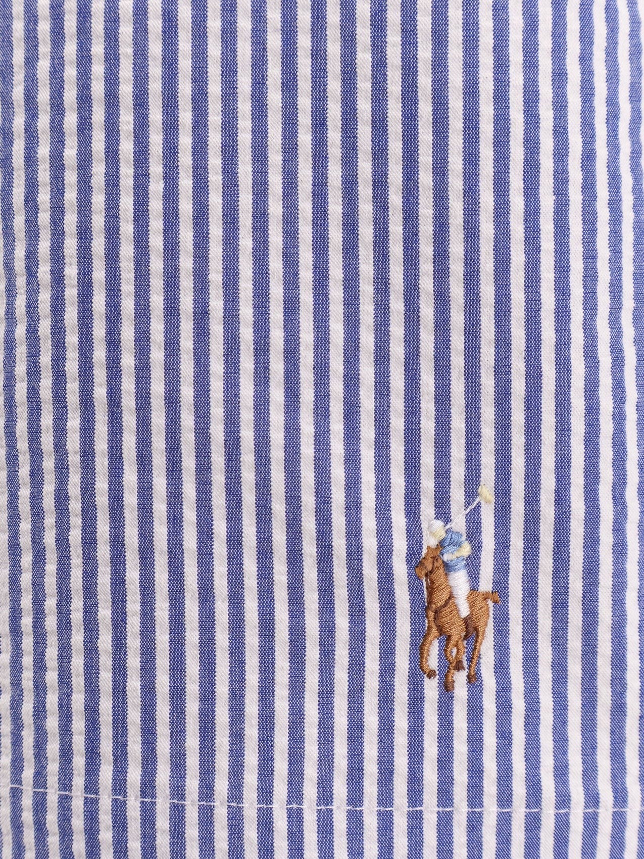 Polo Ralph Lauren Men's Swim Trunks Blue