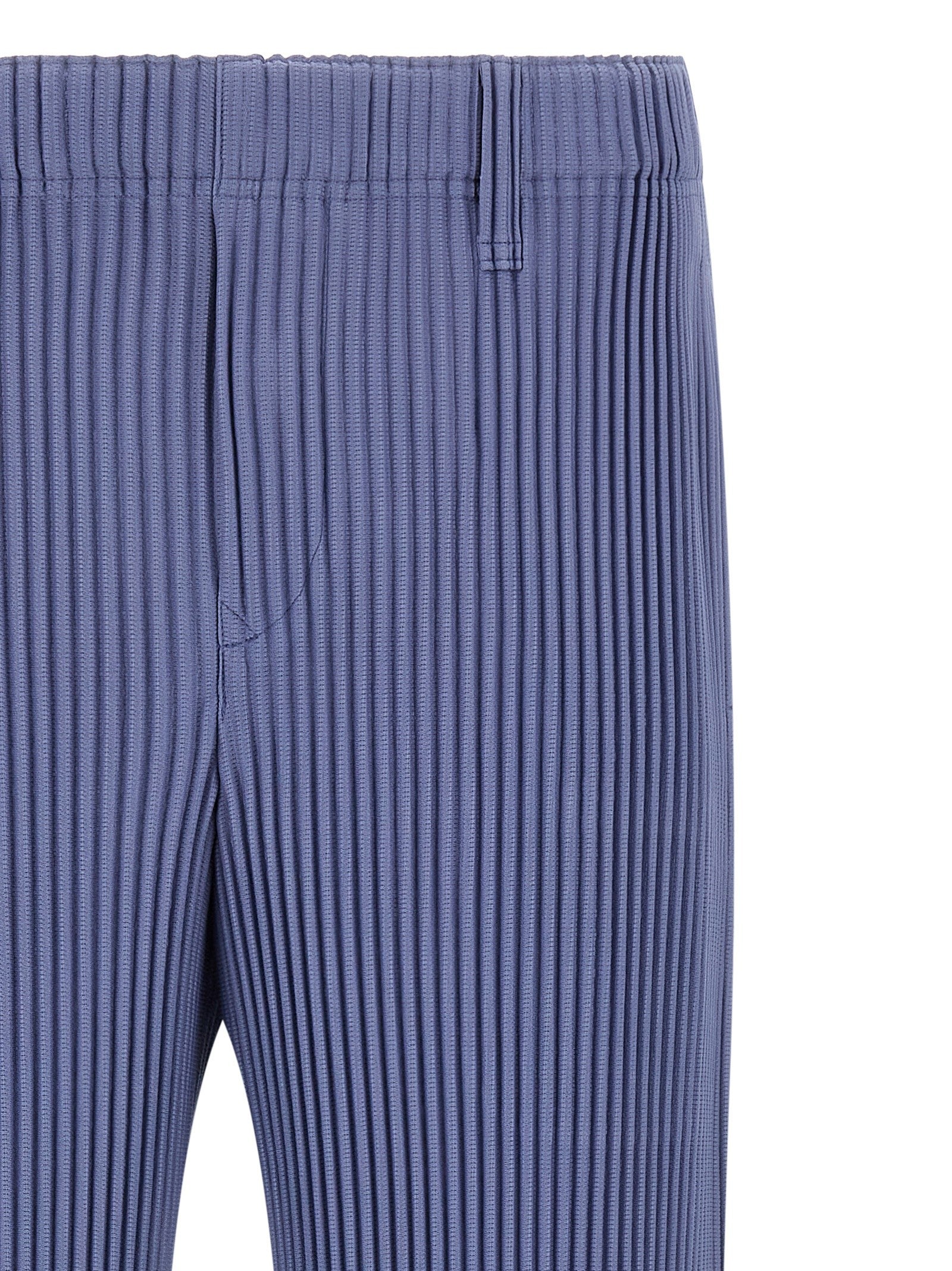 Homme Plissé Issey Miyake Tailored Pleats Pants Purple