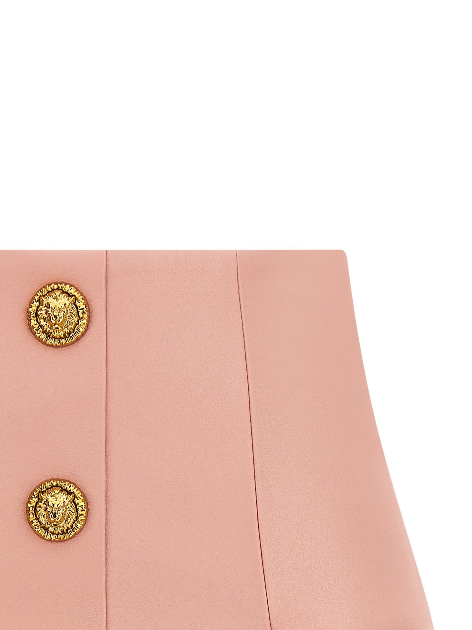 Balmain Testa Di Leone Skirt Blue
