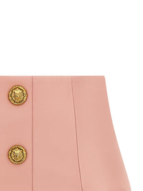 Balmain Testa Di Leone Skirt Blue