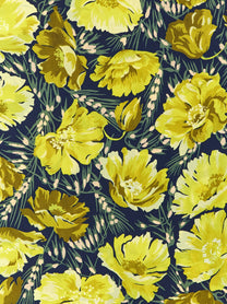 Valentino Valentino Garavani Après Lhiver Poppies Scarf Green