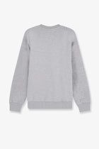 Walk In Paris Men's Cotton Sweatshirt Grey, view 2