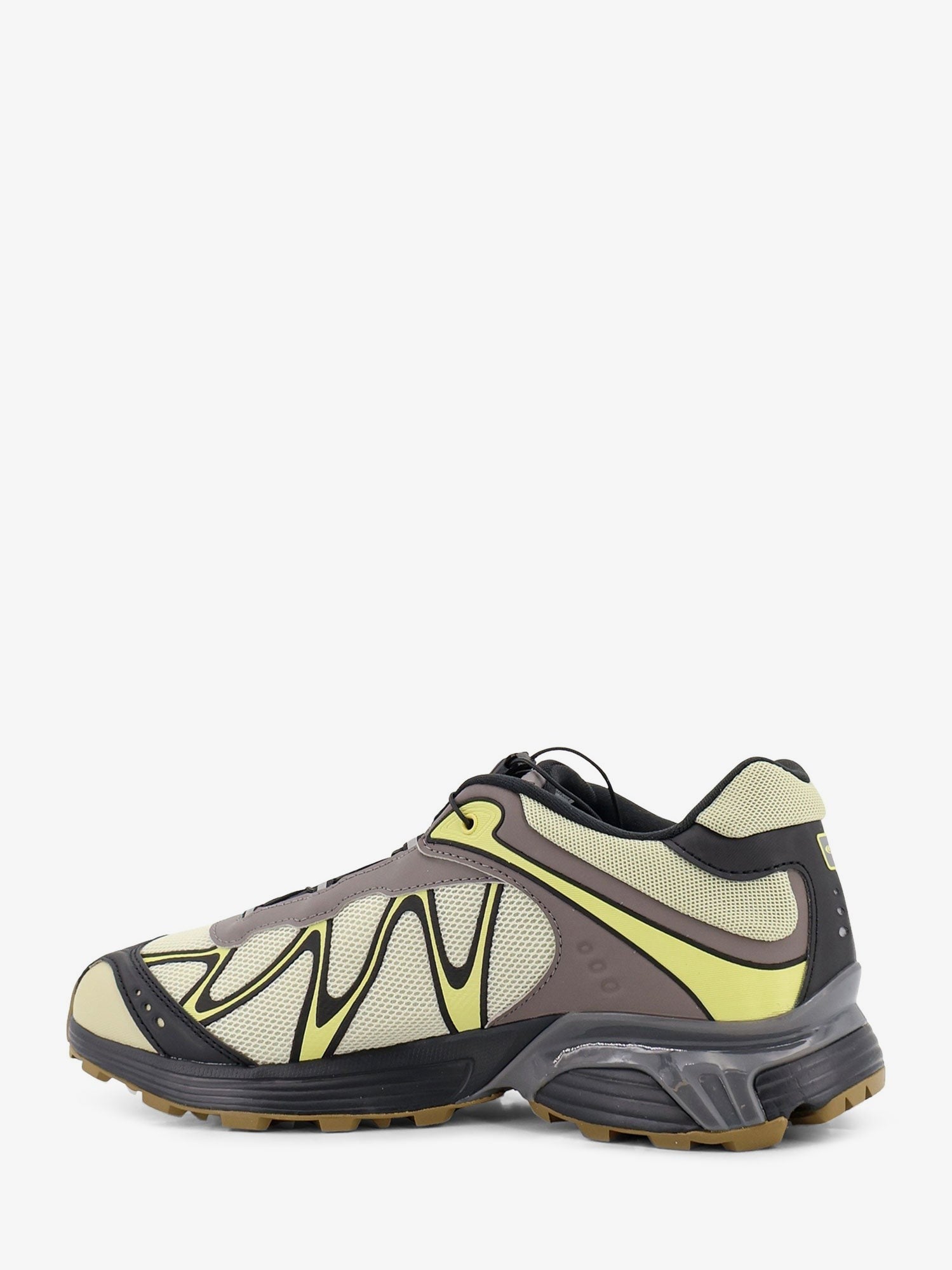 Salomon Men's XT Whispext Mesh Sneakers ASPARG