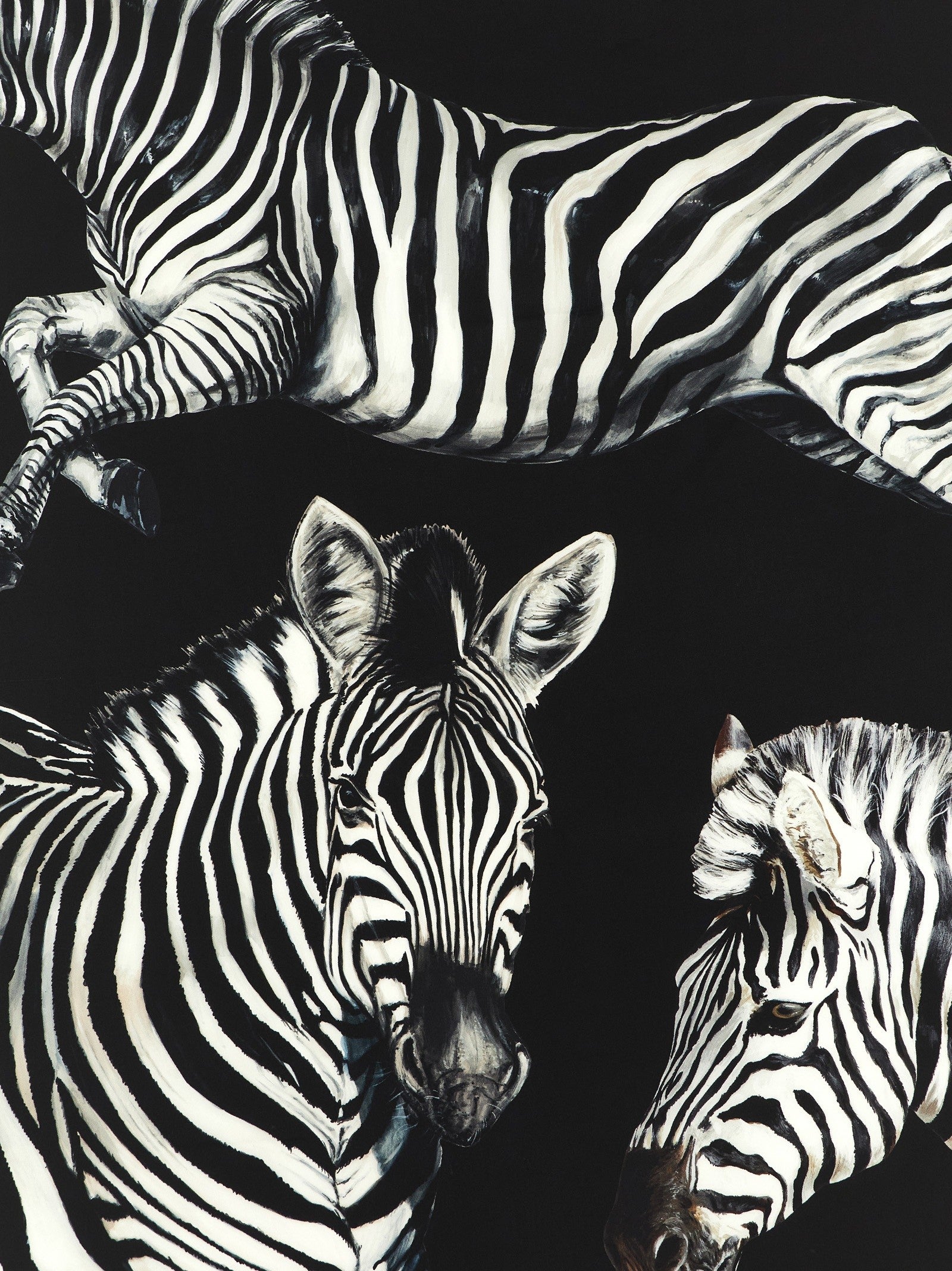 Dolce &amp; Gabbana Zebra Print Scarf White